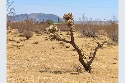 109 Border Avenue, Joshua Tree, CA 92252 - Photo 27