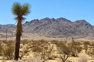 109 Border Ave, Joshua Tree, CA 92252 - Photo 1