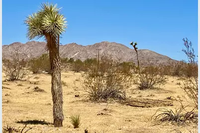 109 Border Avenue, Joshua Tree, CA 92252 - Photo 29