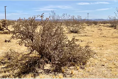 62585 Two Mile Road, Joshua Tree, CA 92252 - Photo 33