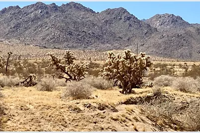 62585 Two Mile Road, Joshua Tree, CA 92252 - Photo 13