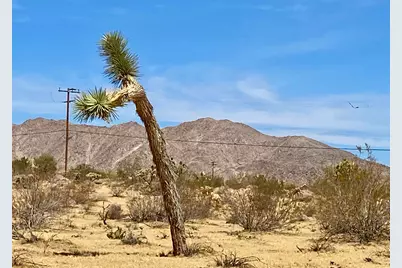 62585 Two Mile Road, Joshua Tree, CA 92252 - Photo 11