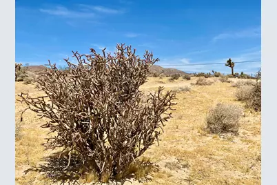 62585 Two Mile Road, Joshua Tree, CA 92252 - Photo 41
