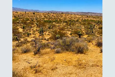 58920 Lisbon Drive, Yucca Valley, CA 92284 - Photo 11