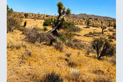 58920 Lisbon Drive, Yucca Valley, CA 92284 - Photo 7