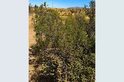 58920 Lisbon Drive, Yucca Valley, CA 92284 - Photo 5