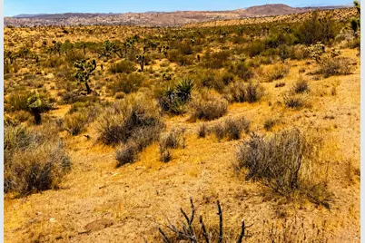 58920 Lisbon Drive, Yucca Valley, CA 92284 - Photo 9