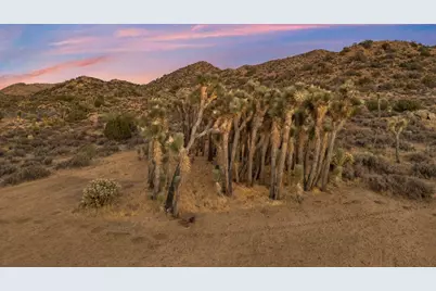 58799 Carmelita Court, Yucca Valley, CA 92284 - Photo 27