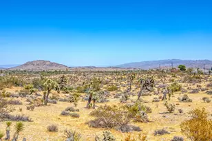 58137 Sun Mesa Dr, Yucca Valley, CA 92284 - Photo 39