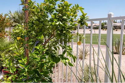 81711 Brittlebush Lane, La Quinta, CA 92253 - Photo 27