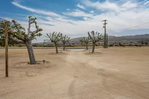 6910 Wamego Trail, Yucca Valley, CA 92284 - Photo 5