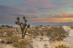 62121 Aberdeen Dr, Joshua Tree, CA 92252 - Photo 1
