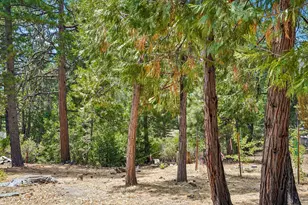 25447 Marion Ridge, Idyllwild, CA 92549 - Photo 33