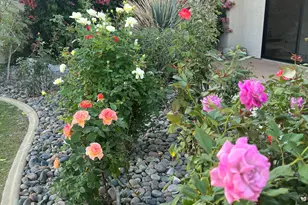 10305 Sunningdale Dr, Rancho Mirage, CA 92270 - Photo 23