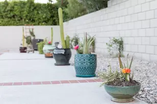 980 N Biskra Rd, Palm Springs, CA 92262 - Photo 5