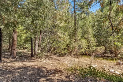 55175 Daryll Road, Idyllwild, CA 92549 - Photo 37