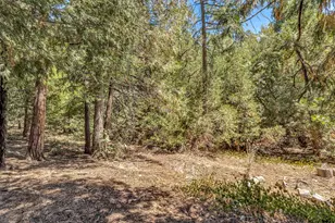 55175 Daryll Rd, Idyllwild, CA 92549 - Photo 37