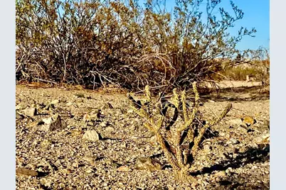 75000 Cottonwood Drive, Twentynine Palms, CA 92277 - Photo 11