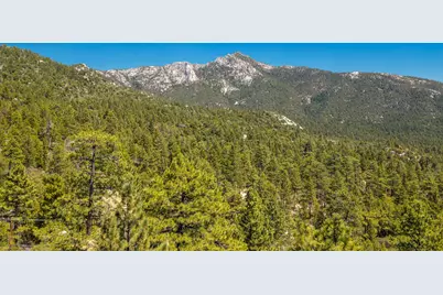 25265 Foster Lake Road, Idyllwild, CA 92549 - Photo 51
