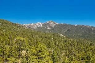 25265 Foster Lake Rd, Idyllwild, CA 92549 - Photo 51