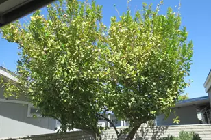 39368 Warm Springs Dr, Palm Desert, CA 92260 - Photo 23