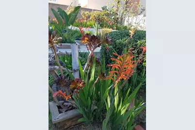 6225 S Verdun Avenue, Los Angeles, CA 90043 - Photo 29