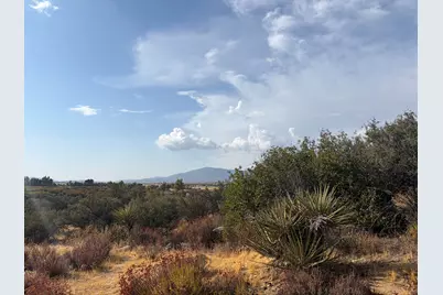 0 Kgkj Ranch Road, Anza, CA 92539 - Photo 11