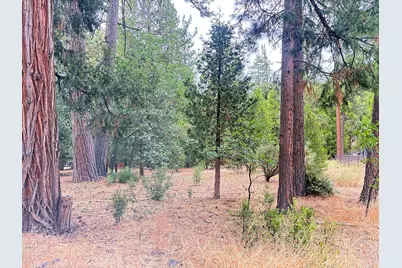 54218 Marian View Drive, Idyllwild, CA 92549 - Photo 5