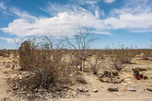 59962 Rocky Ave, Landers, CA 92285 - Photo 15