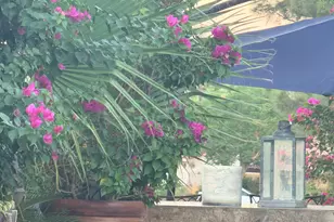 42880 Caballeros Dr, Indio, CA 92203 - Photo 3