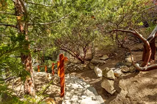 55370 Silver Tip Ln, Idyllwild, CA 92549 - Photo 51