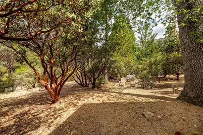 55370 Silver Tip Lane, Idyllwild, CA 92549 - Photo 61