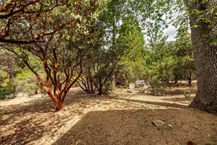 55370 Silver Tip Ln, Idyllwild, CA 92549 - Photo 61