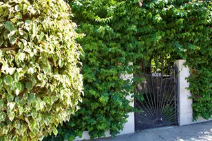 10328 Hickory St, Los Angeles, CA 90002 - Photo 3