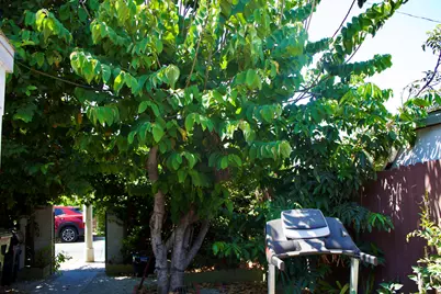 10328 Hickory Street, Los Angeles, CA 90002 - Photo 7