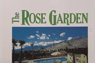1254 Tiffany Cir N, Palm Springs, CA 92262 - Photo 43