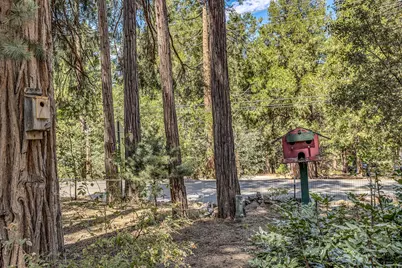 54191 S Circle Drive, Idyllwild, CA 92549 - Photo 15