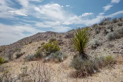 58365 Cereus Avenue, Yucca Valley, CA 92284 - Photo 13