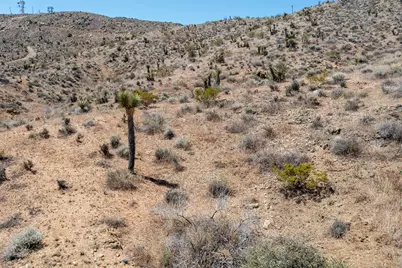 58365 Cereus Avenue, Yucca Valley, CA 92284 - Photo 17