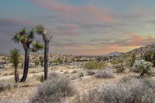 57823 Hilton Ln, Yucca Valley, CA 92284 - Photo 1