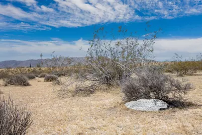 61155 Wilson Street, Joshua Tree, CA 92252 - Photo 9