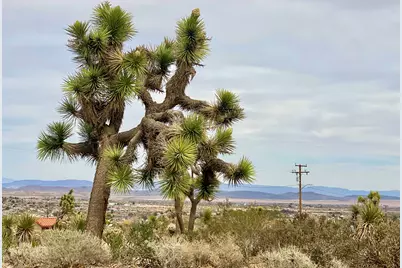 6925 Sunnyhill Road, Joshua Tree, CA 92252 - Photo 27