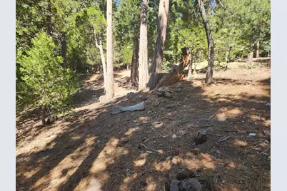 0 Grass Valley, Lake Arrowhead, CA 92352 - Photo 7
