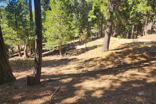 0 Grass Valley, Lake Arrowhead, CA 92352 - Photo 1