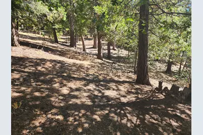 0 Grass Valley, Lake Arrowhead, CA 92352 - Photo 3