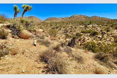 120 Benmar Trail, Morongo Valley, CA 92256 - Photo 33