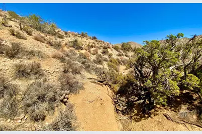 120 Benmar Trail, Morongo Valley, CA 92256 - Photo 19