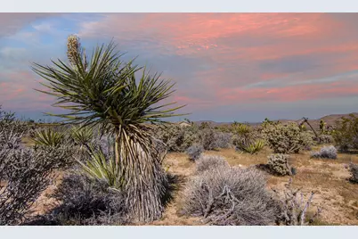 102 Saddleback Road, Joshua Tree, CA 92252 - Photo 1