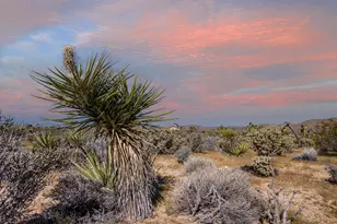 102 Saddleback Rd, Joshua Tree, CA 92252 - Photo 1
