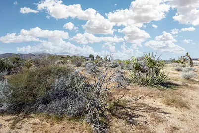 102 Saddleback Road, Joshua Tree, CA 92252 - Photo 13